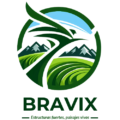 Bravix Constructora